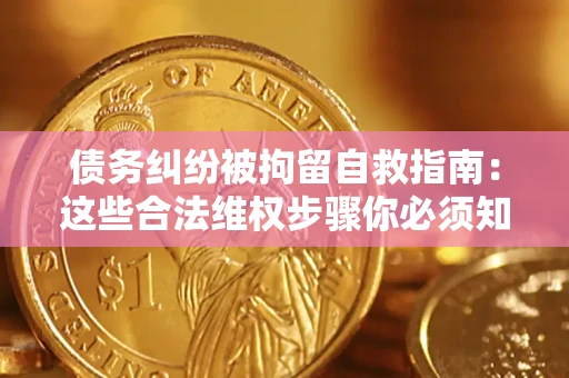济南债务纠纷被拘留自救指南：这些合法维权步骤你必须知道！