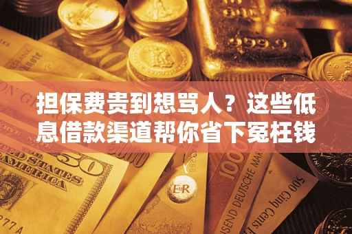 济南担保费贵到想骂人？这些低息借款渠道帮你省下冤枉钱