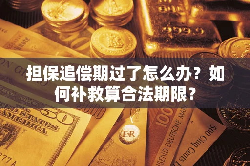 济南担保追偿期过了怎么办？如何补救算合法期限？