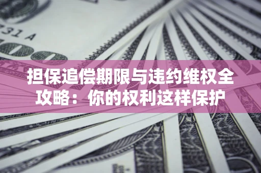 济南担保追偿期限与违约维权全攻略：你的权利这样保护